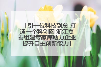 引一位科技副总 打通一个科创圈 浙江嘉善组建专家库助力企业提升自主创新能力