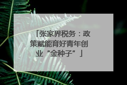 张家界税务：政策赋能育好青年创业“金种子”