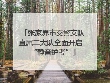 张家界市交警支队直属二大队全面开启“静音护考”