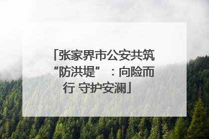 张家界市公安共筑“防洪堤”：向险而行 守护安澜