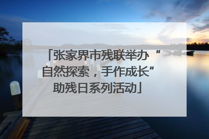 张家界市残联举办“自然探索，手作成长”助残日系列活动