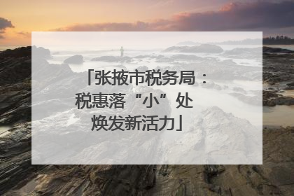 张掖市税务局：税惠落“小”处 焕发新活力