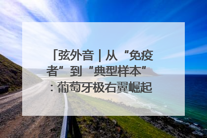 弦外音｜从“免疫者”到“典型样本”：葡萄牙极右翼崛起背后的欧洲困局
