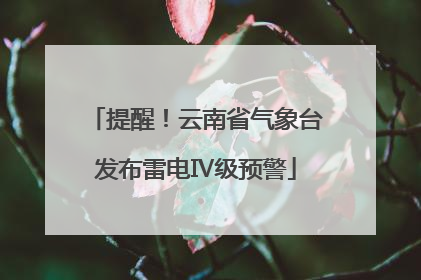 提醒！云南省气象台发布雷电Ⅳ级预警