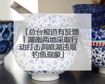 总台报道有反馈丨湖南两地采取行动打击洞庭湖违规钓鱼现象