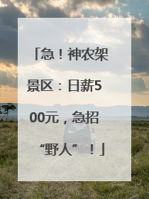 急！神农架景区：日薪500元，急招“野人”！