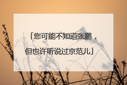 您可能不知道张鹏，但也许听说过京范儿