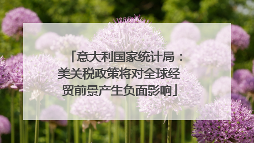 意大利国家统计局：美关税政策将对全球经贸前景产生负面影响