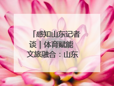 感知山东记者谈｜体育赋能 文旅融合：山东打造体商文旅融合发展新格局