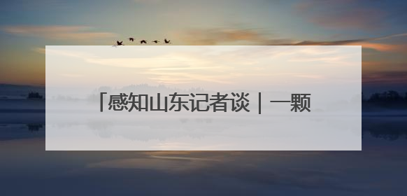 感知山东记者谈｜一颗蒜头的“链式进化论”
