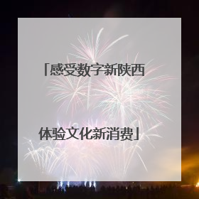 感受数字新陕西 体验文化新消费