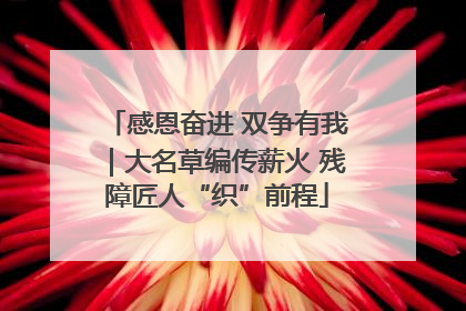 感恩奋进 双争有我｜大名草编传薪火 残障匠人“织”前程