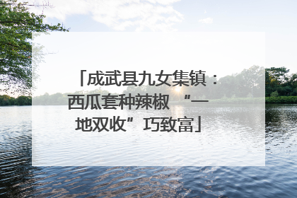 成武县九女集镇：西瓜套种辣椒 “一地双收”巧致富