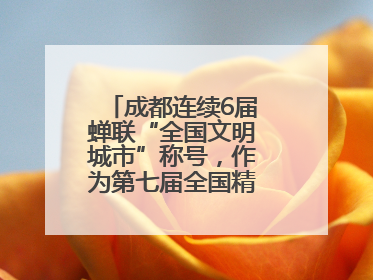 成都连续6届蝉联“全国文明城市”称号，作为第七届全国精神文明建设优秀城市代表参会