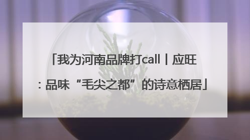 我为河南品牌打call丨应旺：品味“毛尖之都”的诗意栖居