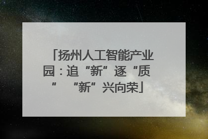 扬州人工智能产业园：追“新”逐“质” “新”兴向荣