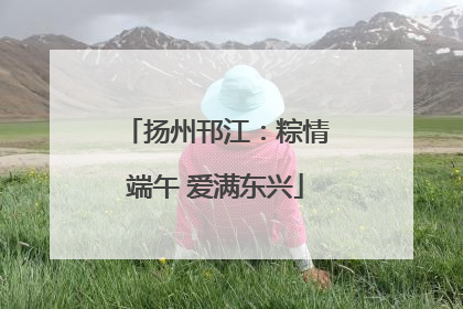扬州邗江：粽情端午 爱满东兴