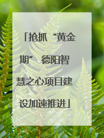 抢抓“黄金期” 德阳智慧之心项目建设加速推进