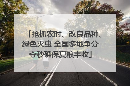 抢抓农时、改良品种、绿色灭虫 全国多地争分夺秒确保夏粮丰收