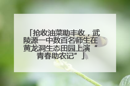 抢收油菜助丰收，武陵源一中数百名师生在黄龙洞生态田园上演“青春助农记”