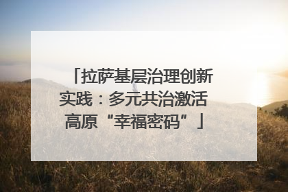 拉萨基层治理创新实践：多元共治激活高原“幸福密码”