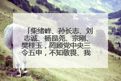 柴绪峰、孙长志、刘志诚、杨昆尧、宗刚、樊桂玉，罔顾党中央三令五申，不知敬畏、我行我素、肆意妄为！