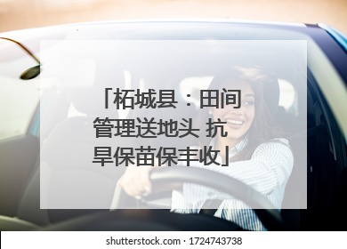 柘城县：田间管理送地头 抗旱保苗保丰收