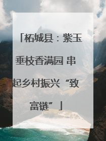 柘城县：紫玉垂枝香满园 串起乡村振兴“致富链”