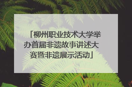 柳州职业技术大学举办首届非遗故事讲述大赛暨非遗展示活动