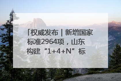 权威发布｜新增国家标准2964项，山东构建“1+4+N”标准化创新发展新格局