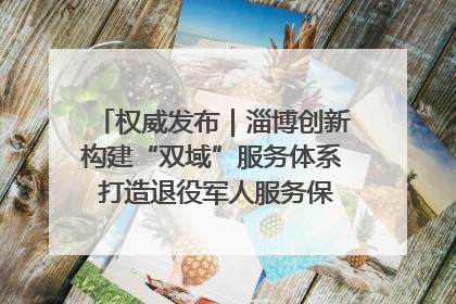 权威发布｜淄博创新构建“双域”服务体系 打造退役军人服务保障“淄博样板”