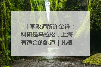 李政道所许金祥：科研是马拉松，上海有适合的跑道｜扎根上海，从0到1