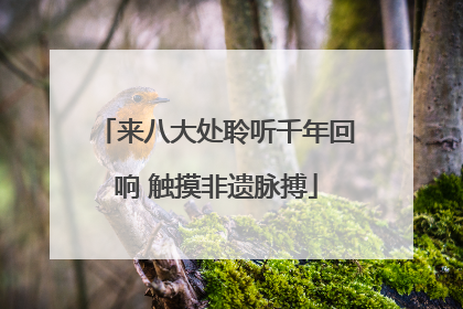 来八大处聆听千年回响 触摸非遗脉搏