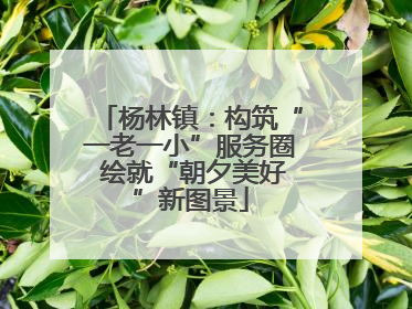 杨林镇：构筑“一老一小”服务圈 绘就“朝夕美好”新图景