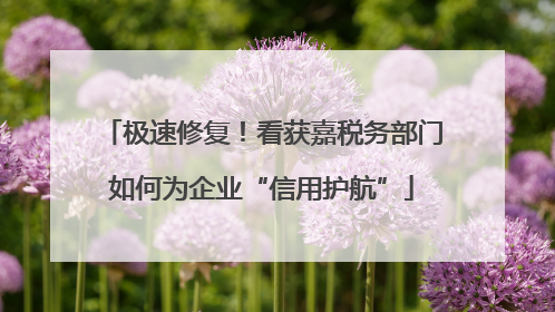 极速修复！看获嘉税务部门如何为企业“信用护航”