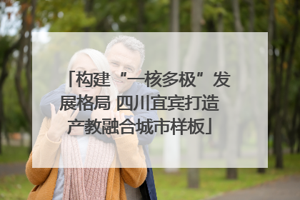 构建“一核多极”发展格局 四川宜宾打造产教融合城市样板