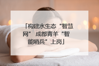 构建水生态“智慧网” 成都青羊“智能哨兵”上岗