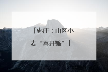 枣庄：山区小麦“喜开镰”
