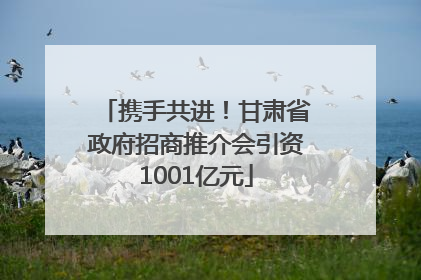携手共进！甘肃省政府招商推介会引资1001亿元