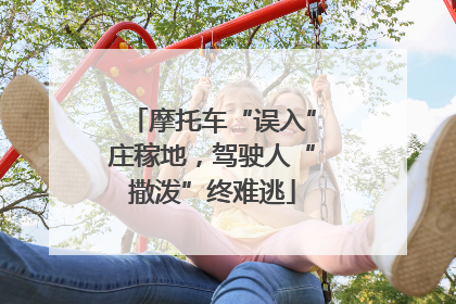 摩托车“误入”庄稼地，驾驶人“撒泼”终难逃