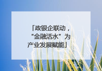 政银企联动，“金融活水”为产业发展赋能