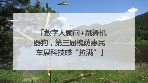 数字人顾问+跳舞机器狗，第三届槐荫惠民车展科技感“拉满”