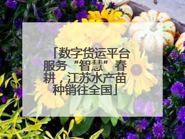 数字货运平台服务“智慧”春耕，江苏水产苗种销往全国
