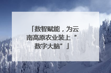 数智赋能，为云南高原农业装上“数字大脑”