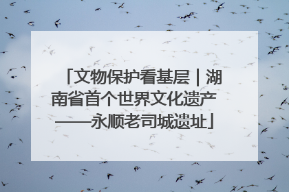 文物保护看基层｜湖南省首个世界文化遗产——永顺老司城遗址