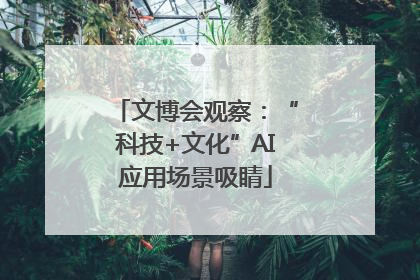 文博会观察：“科技+文化”AI应用场景吸睛