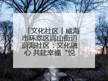 文化社区丨威海市环翠区嵩山街道蔚海社区：文化融心 共建幸福“悦龄蔚海”