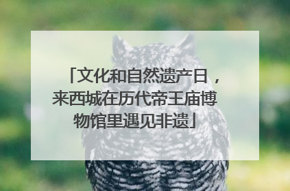 文化和自然遗产日，来西城在历代帝王庙博物馆里遇见非遗
