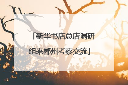 新华书店总店调研组来郴州考察交流