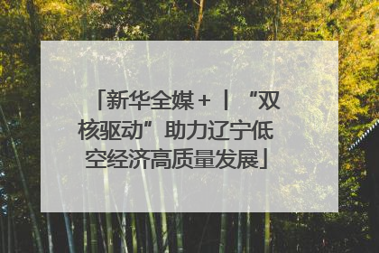 新华全媒＋丨“双核驱动”助力辽宁低空经济高质量发展